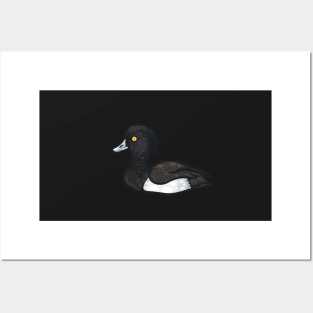 Tufted Duck Posters and Art